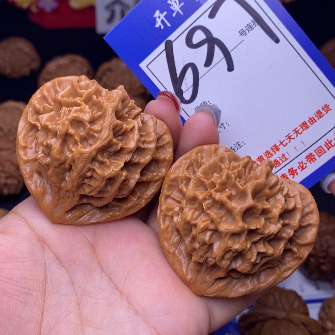 697号链接帝王5.1尺00000