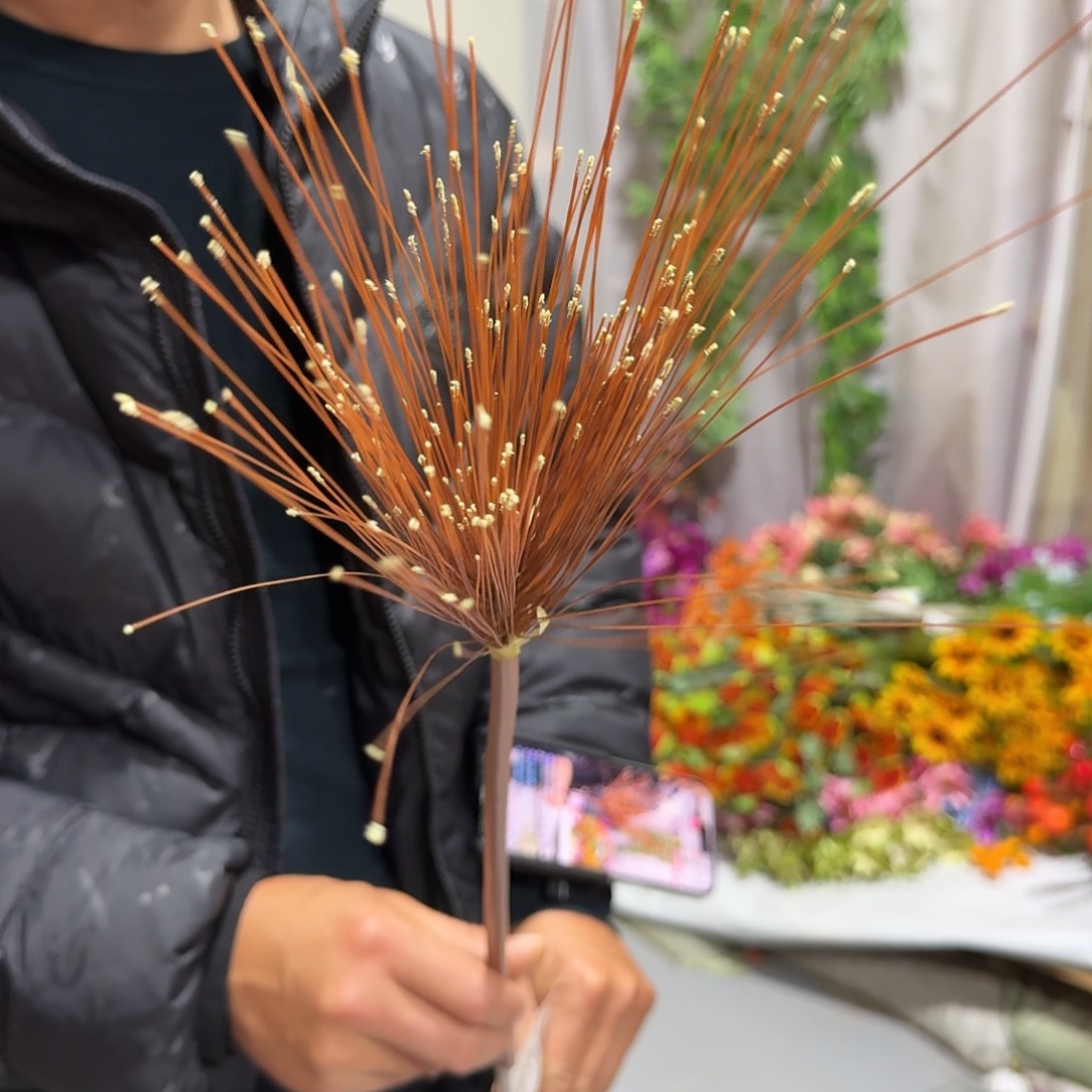 咖色伞沙草10支装