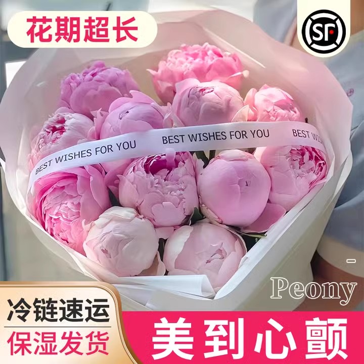 芍药鲜切花重瓣山东菏泽基地直发顺丰精选优品