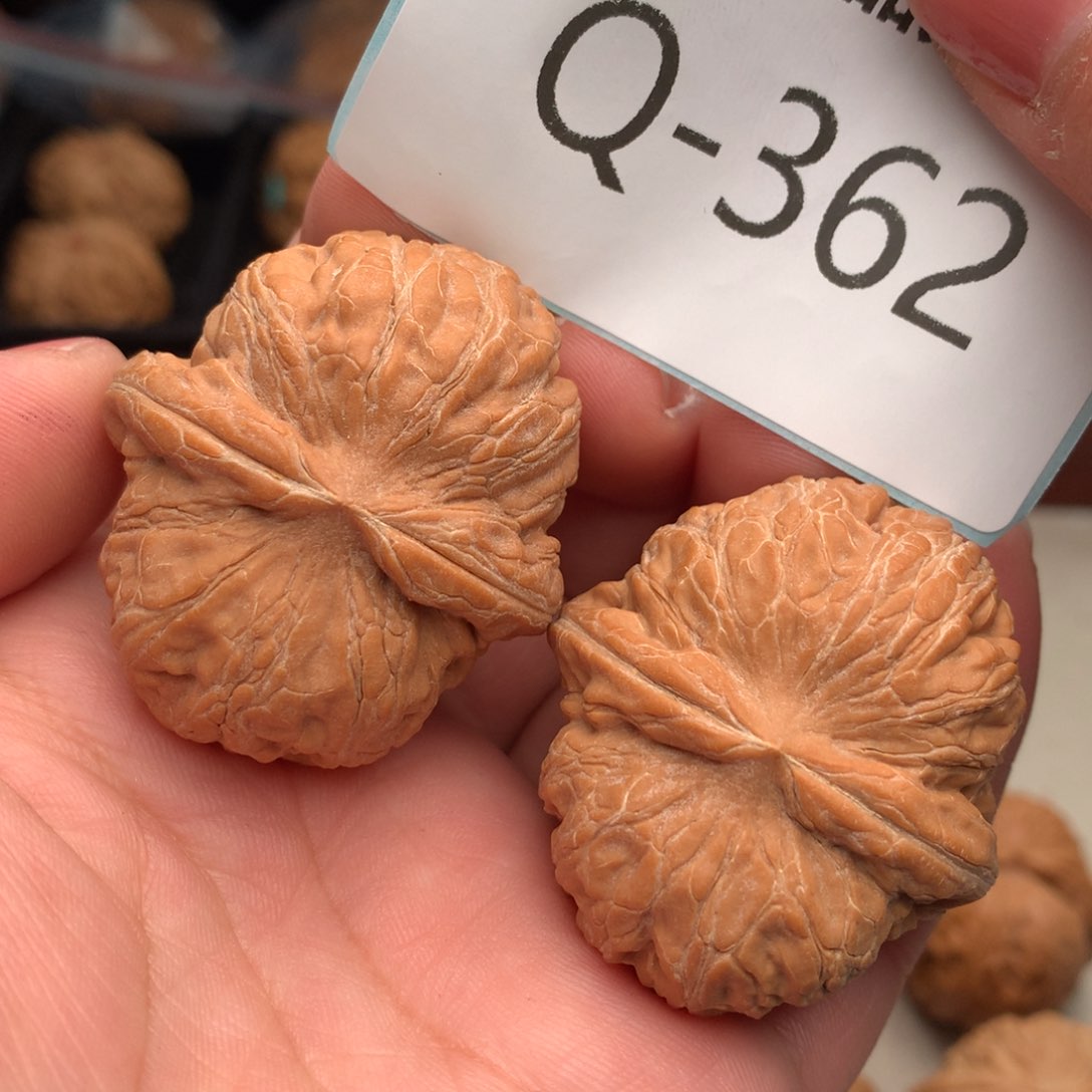 文玩核桃把件42元宝…..