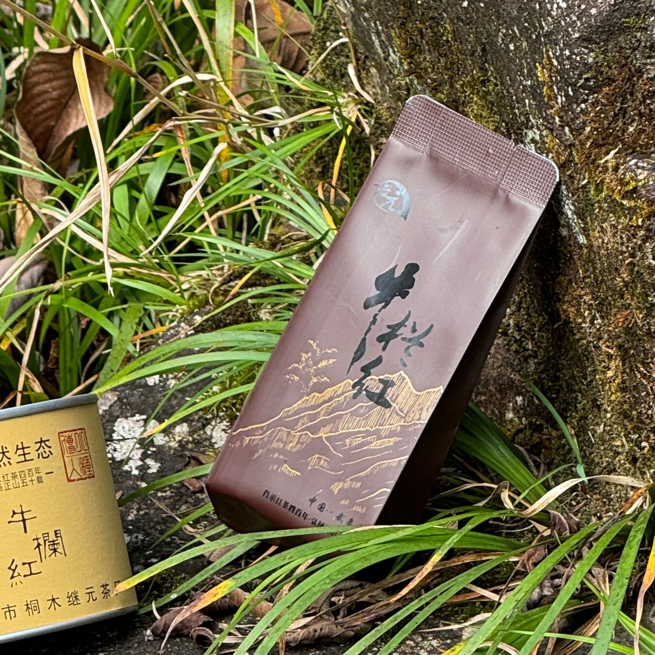 【一元享好茶】牛栏红百年老枞一芽二叶清香甘甜枞木生津回味悠长