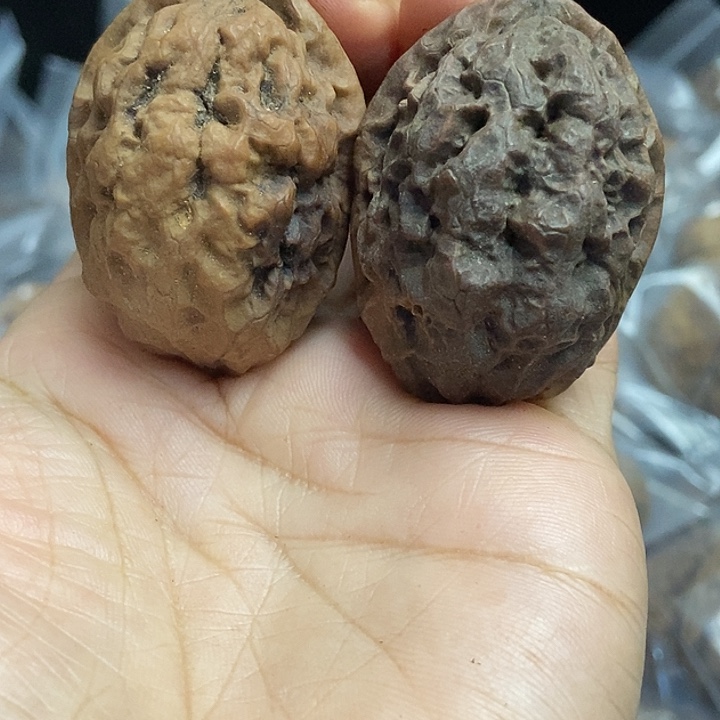 文玩核桃把件云南铁核桃基地37