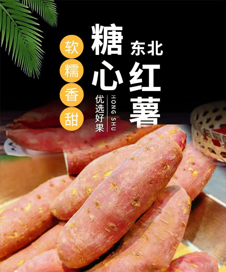 【长江迷糊】北盘农园锦田蜜薯无根无丝沙地地瓜甜蜜如糖黄心番薯