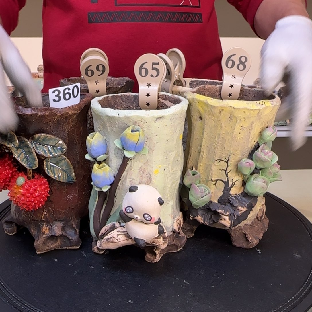 遇***爱360 69 65 68 66 【闪购】多肉花盆