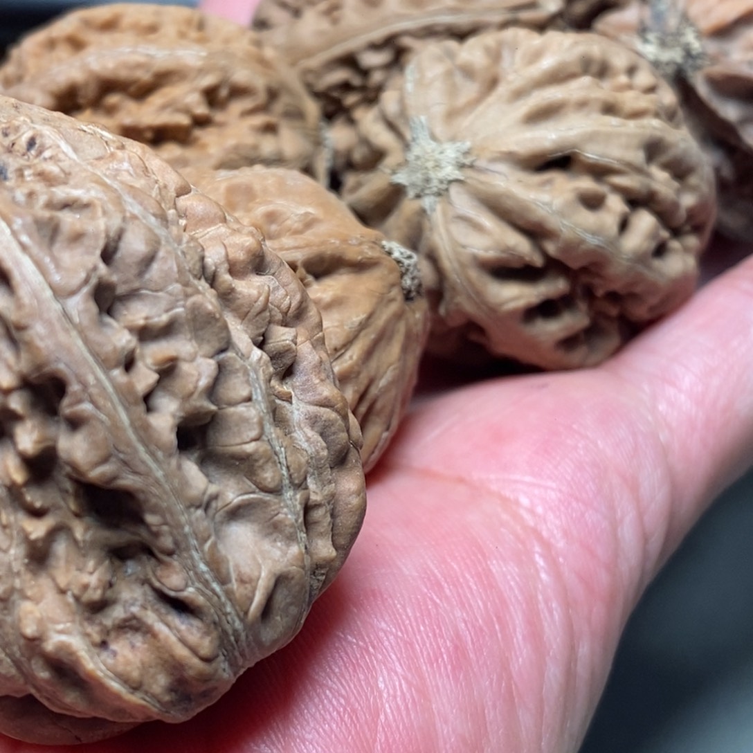 吊坠文玩核桃08文玩核桃把件