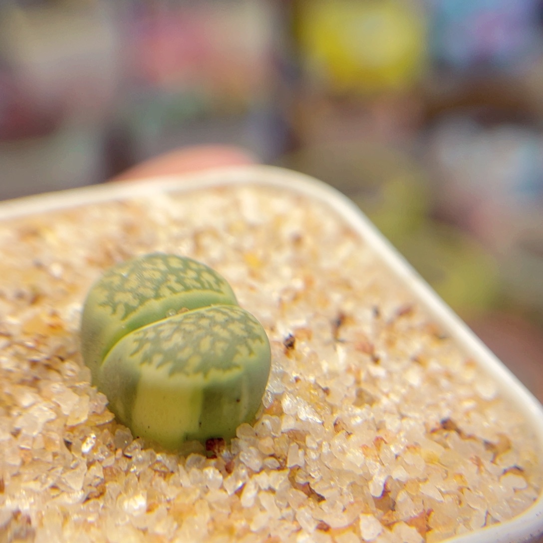 017。888888888888888888888888