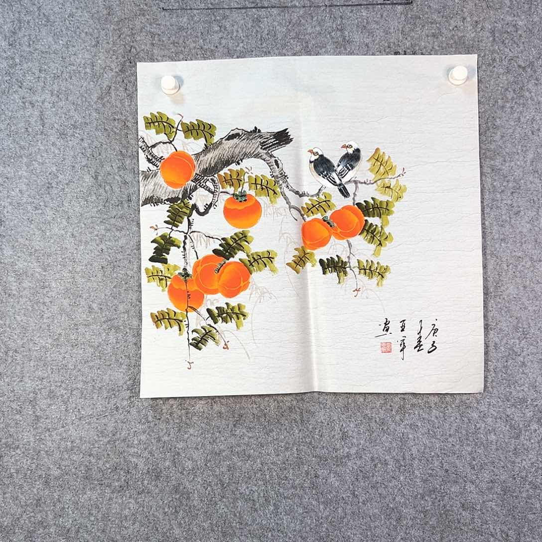 国画504 牡丹等植物资源和野生