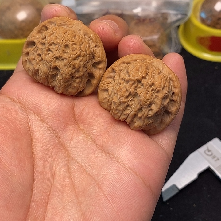 龙脊菩提吊坠血麒麟
