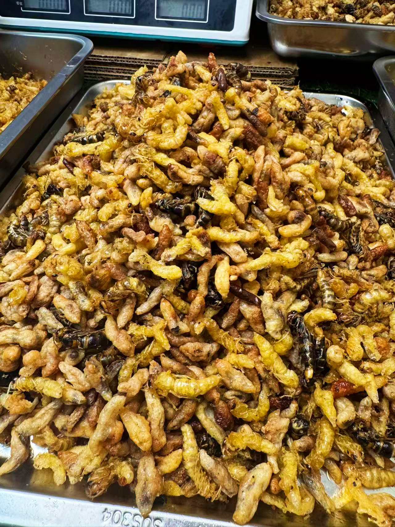 【市场低价福利同款234级】新鲜油炸蜂蛹树蜂 挑不了内脏介意勿拍