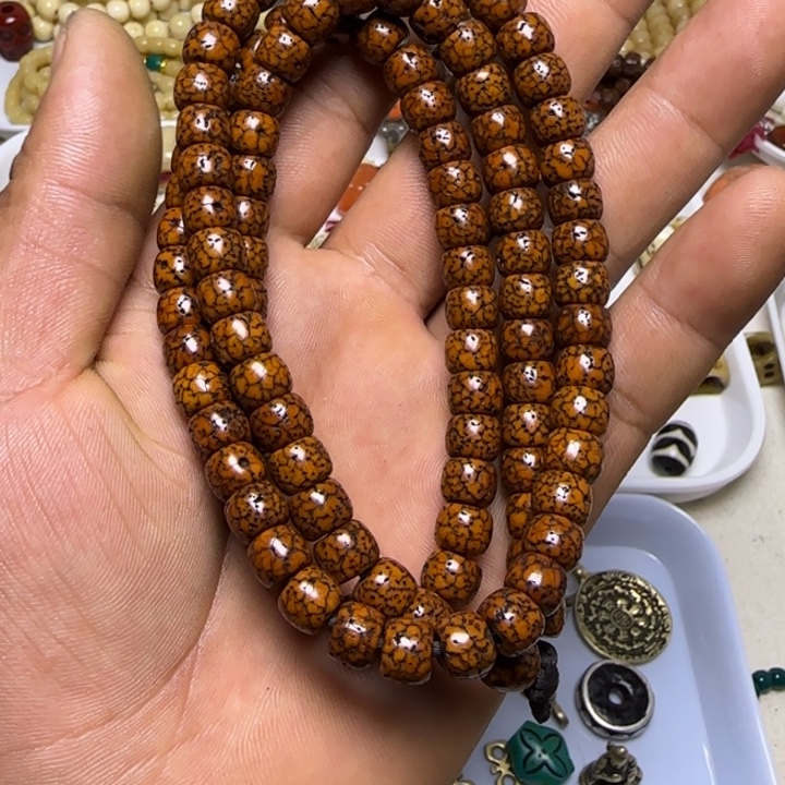 一条1111122222尔甲