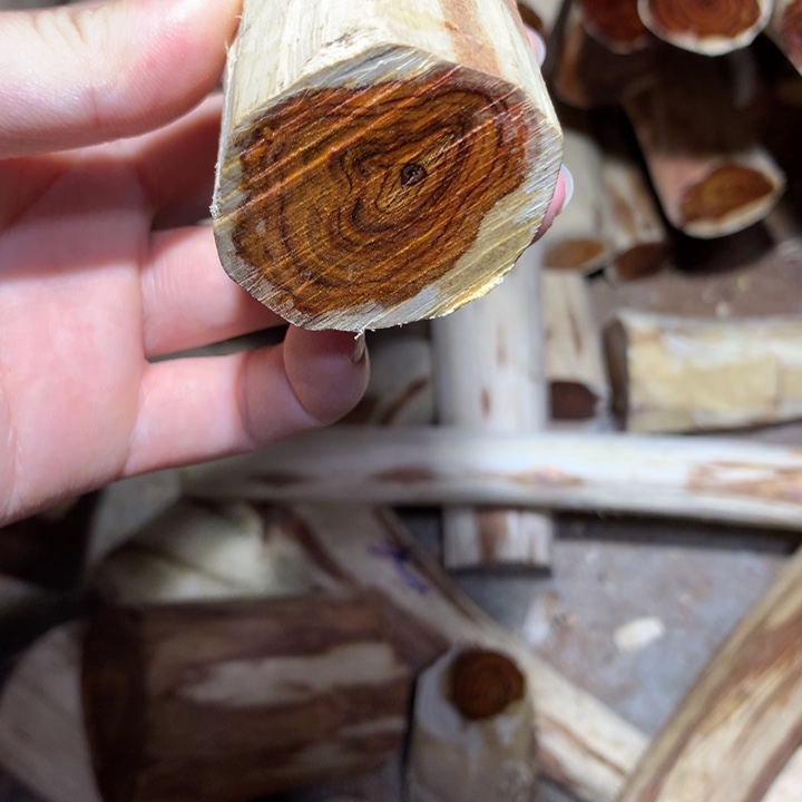 黄花梨/降香黄檀海南黄花梨