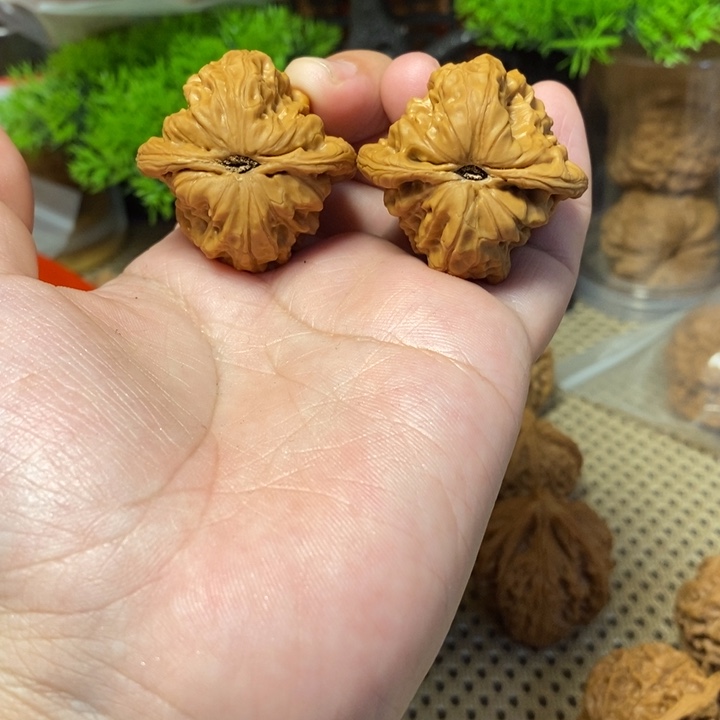 核桃手串/手链正版白蛇骨36全