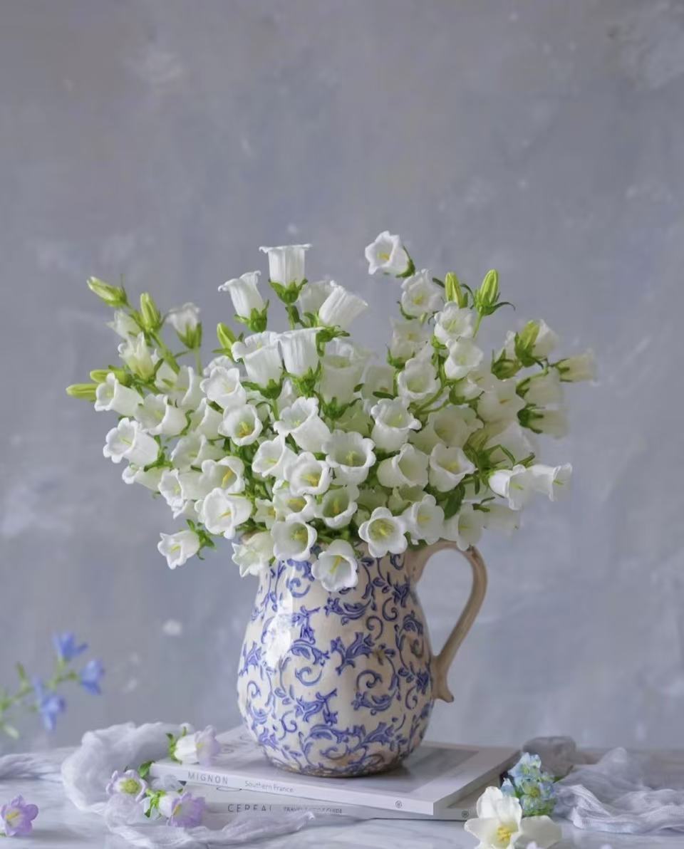 白色风铃 1扎  任意2单鲜花升级顺丰/德邦