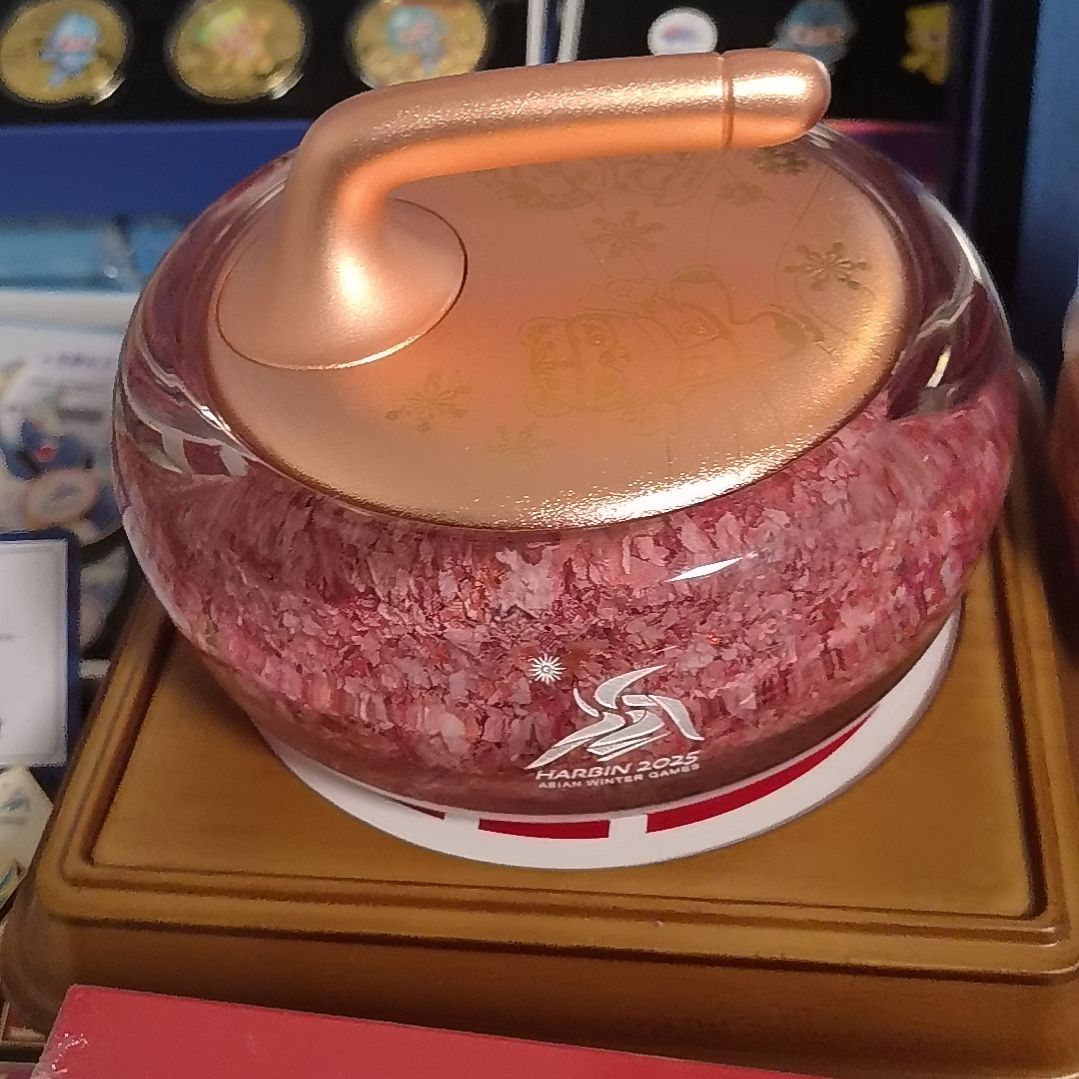 亚冬会大号冰壶原价980壶面有点微微瑕疵便宜出了