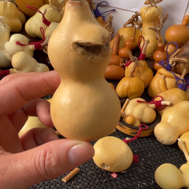 风***葫芦葫哈哈哈哈哈哈哈哈哈哈