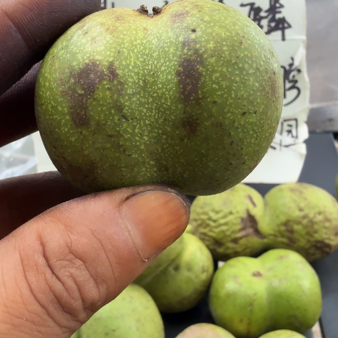 吊坠文玩核桃2*.