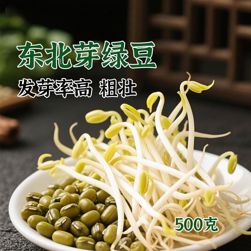幸福屯生芽专用豆 芽绿豆 发芽率高