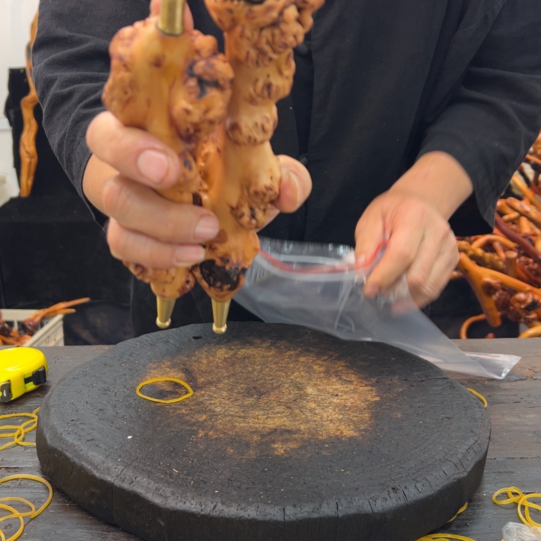 其他黑果木黑果木105