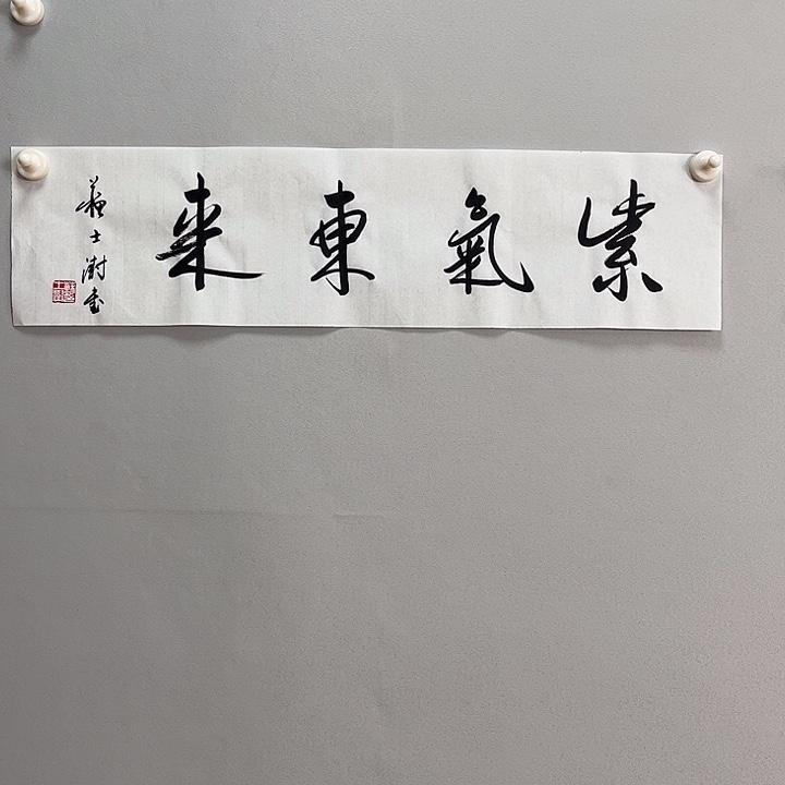 书法苏老师书法作品111