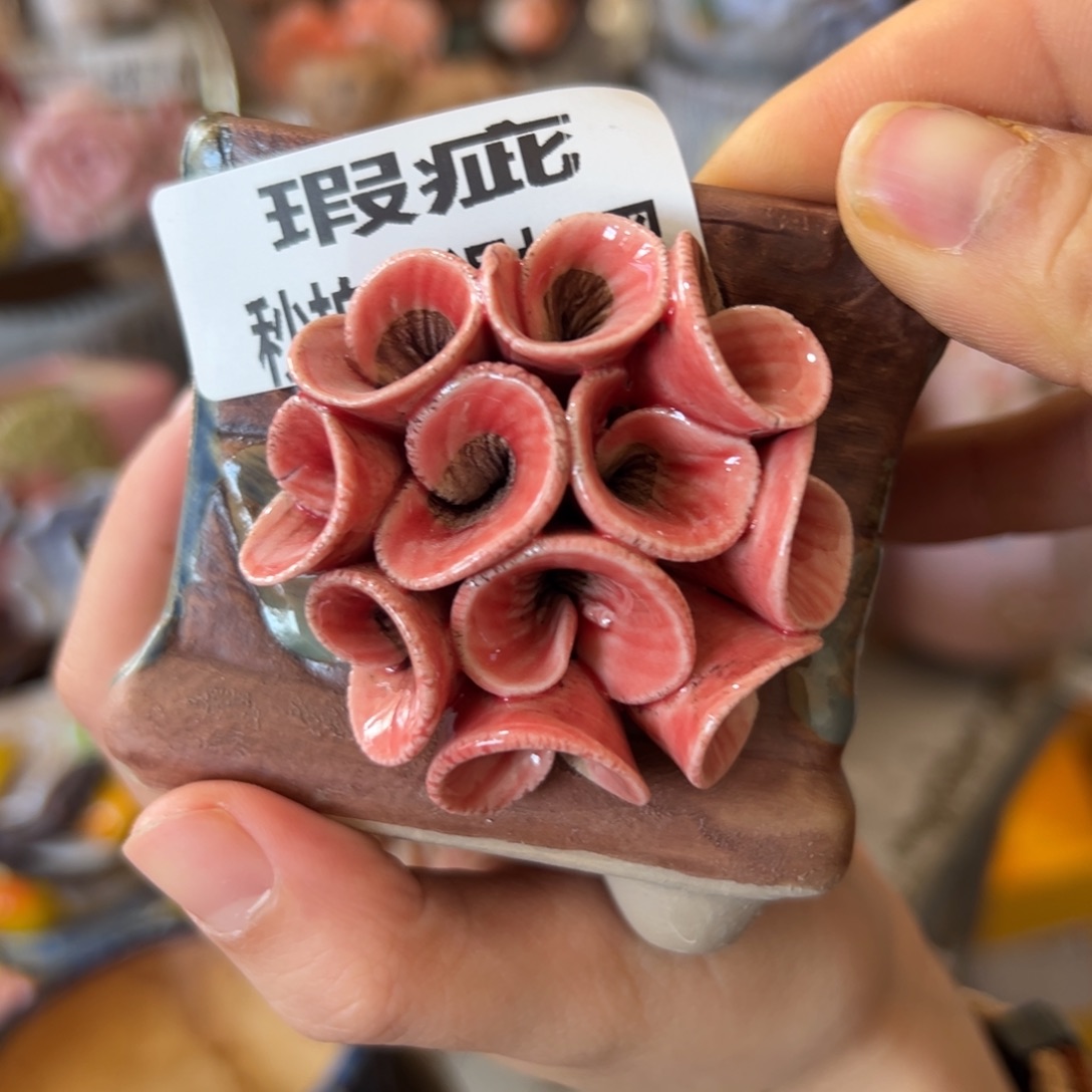 花盆，拍满20发货，退款拉黑