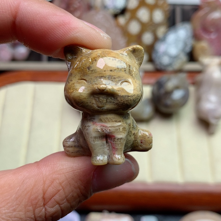 硅化珊瑚（珊瑚玉）颈饰未镶嵌