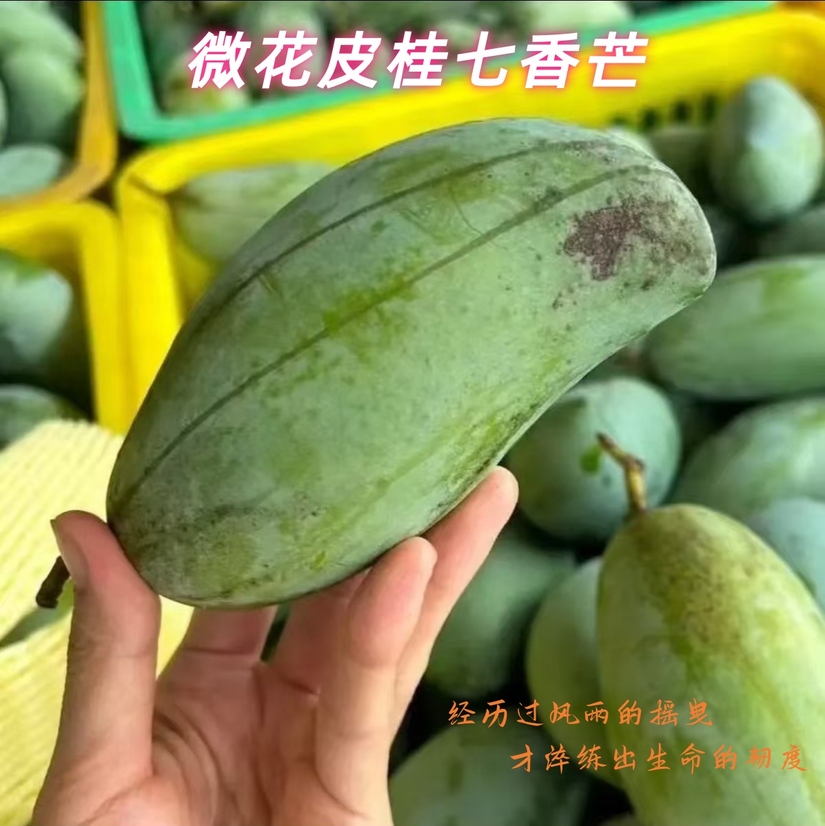 广西百色桂七芒果新鲜现摘核薄肉厚爆甜多汁水果白色芒果