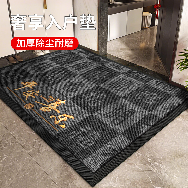入户门地垫2025新款轻奢高级感进门玄关脚垫家用除尘门垫子可定制