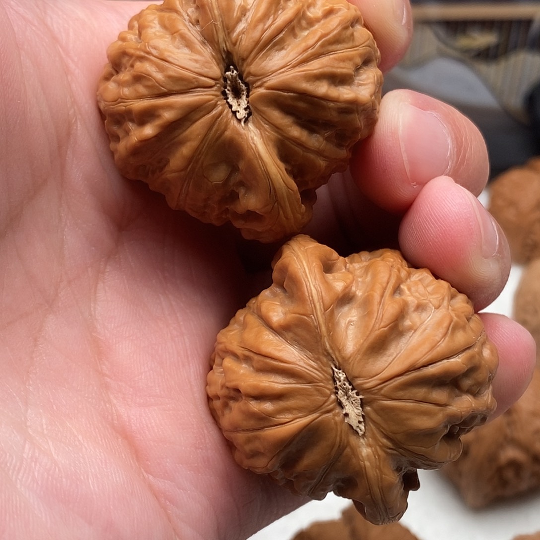 忒***好文玩核桃把件41尺寸铁锤妹妹打底精修