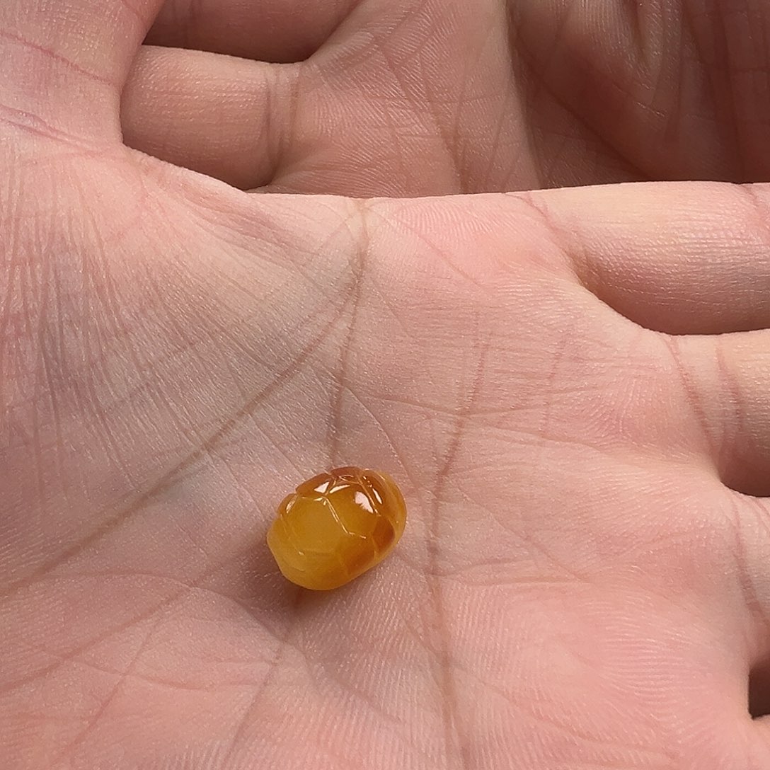 蜜蜡颈饰未镶嵌富甲天下