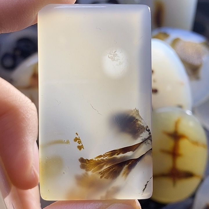 未镶嵌颈饰玛瑙/玉髓f****林