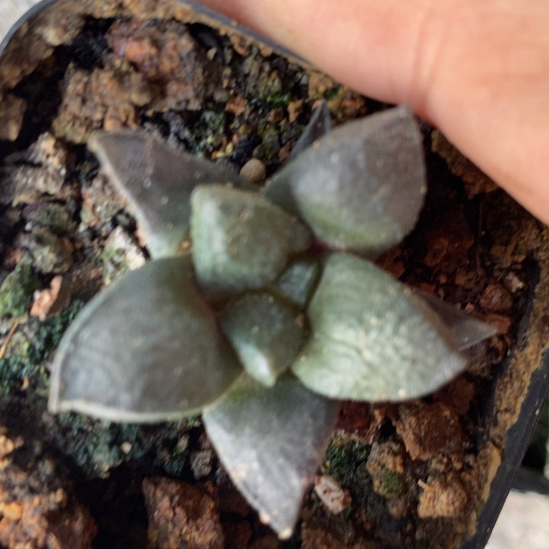 熊*文实生福利福利福利，