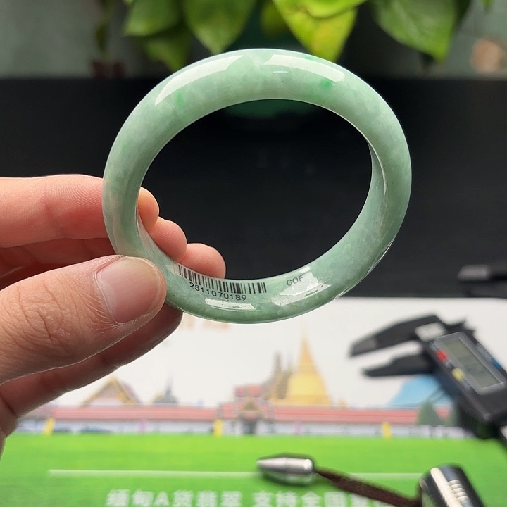 翡翠未镶嵌手镯x2 5859 12
