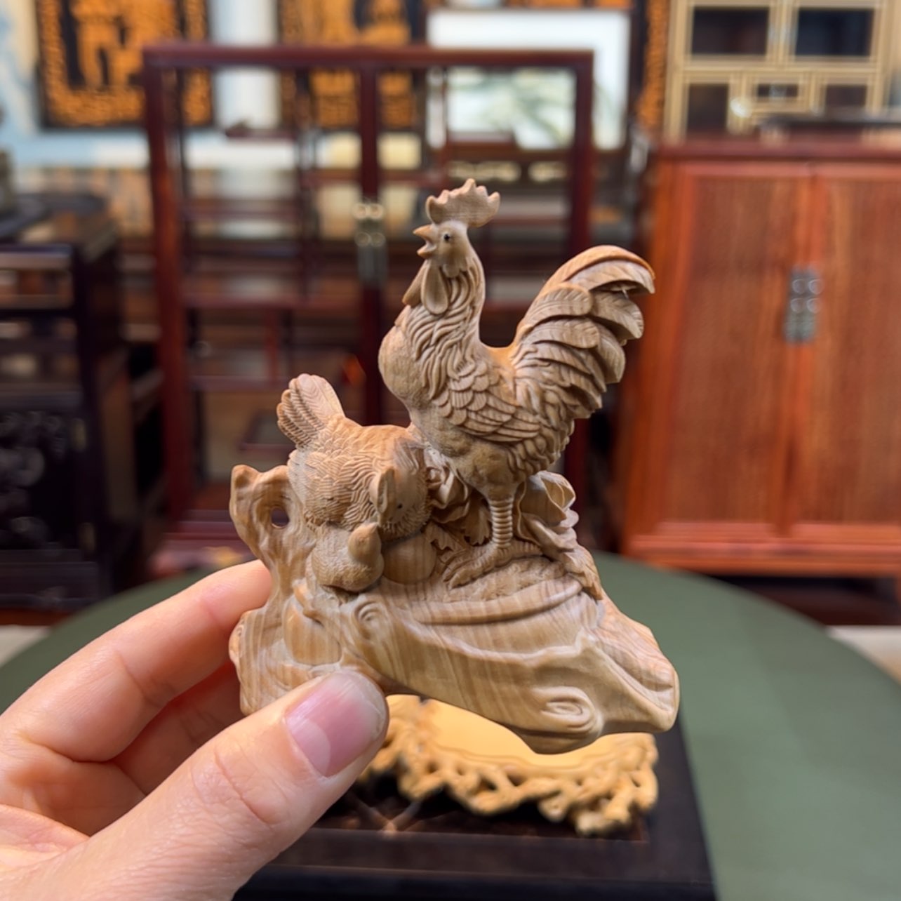 【闪购商品】黄杨木其他黄杨木