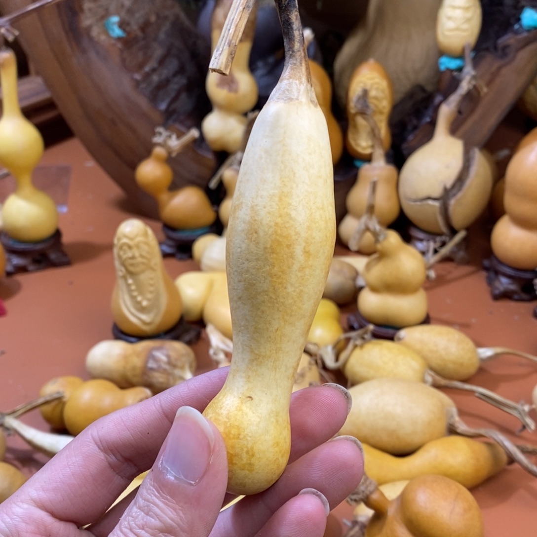 佛***人啦啦教练咯路途考虑