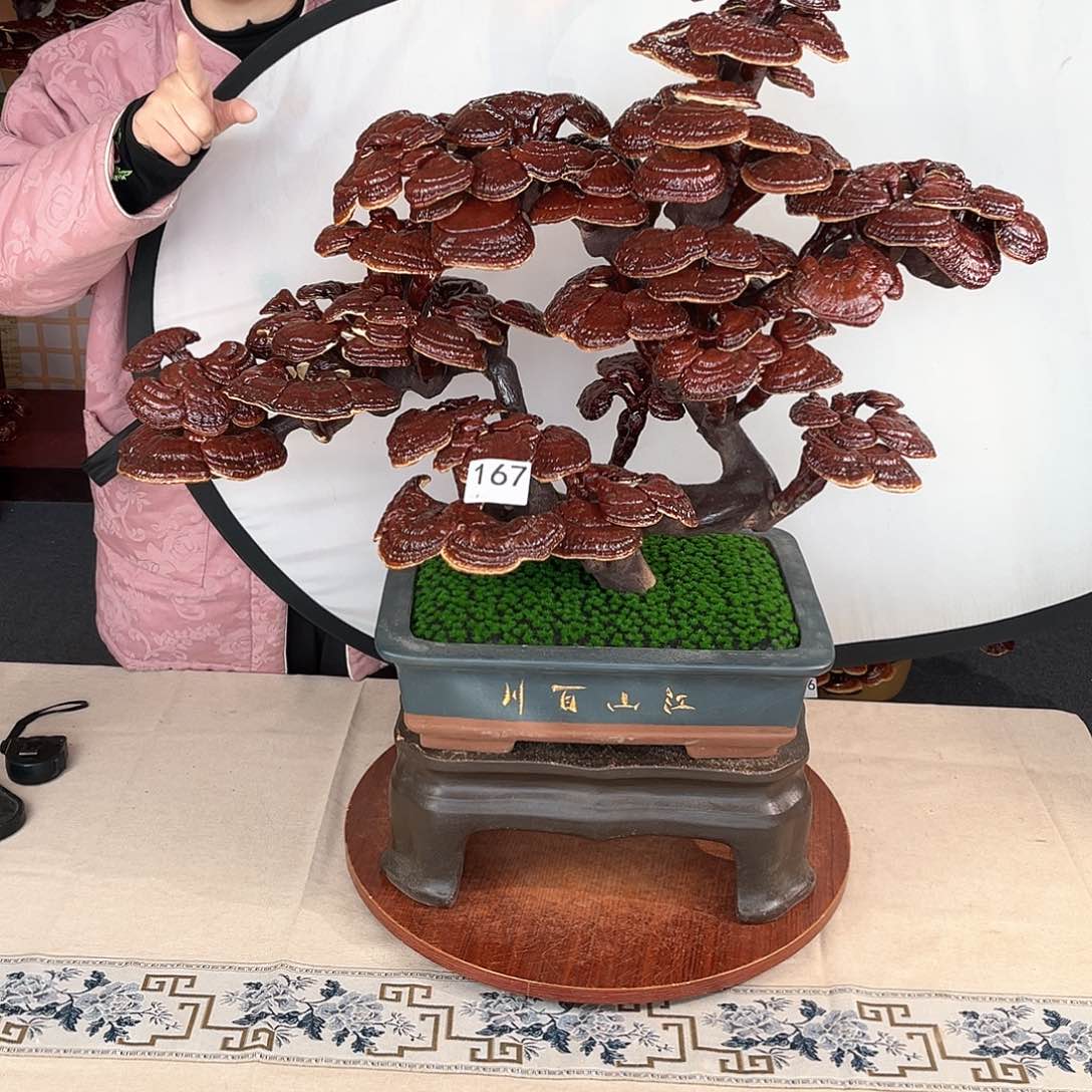 万事如意8888888888888