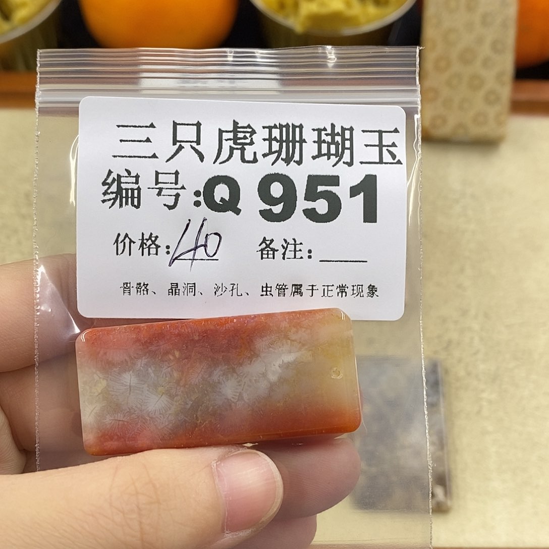 硅化珊瑚（珊瑚玉）1未镶嵌?****e