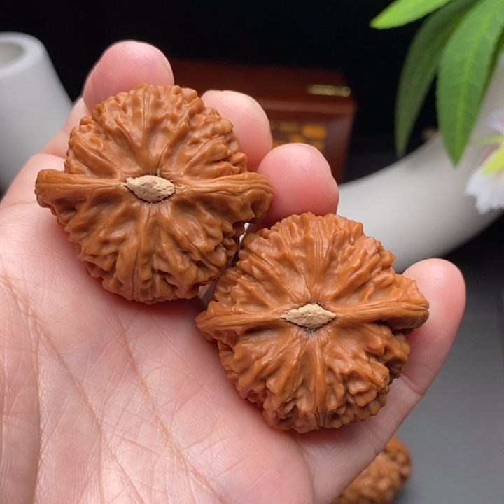 文玩核桃把件小****倒宫灯42.5