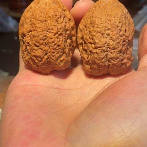 把件文玩核桃镇妖塔带彩41