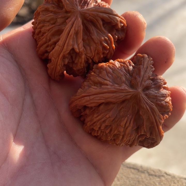 小***磊吊坠文玩核桃三棱三棱三棱三棱