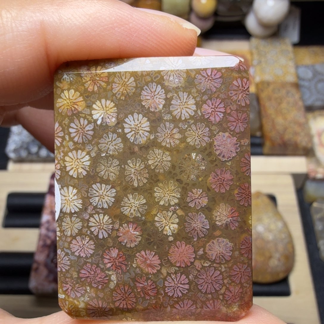 硅化玉未镶嵌清晰的多彩花，微骨骼