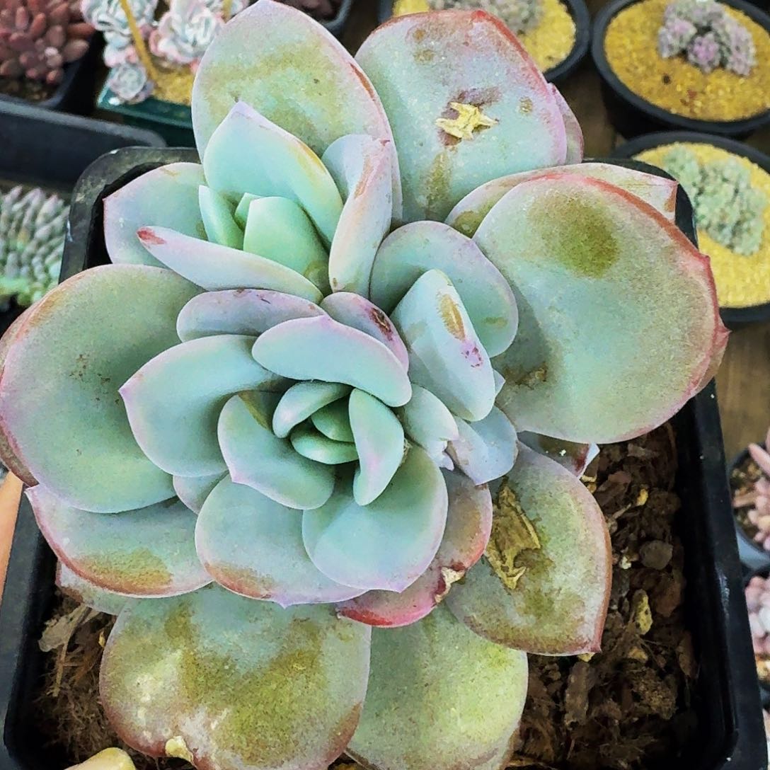 嗨**J哈哈哈哈哈哈哈哈哈哈哈哈哈