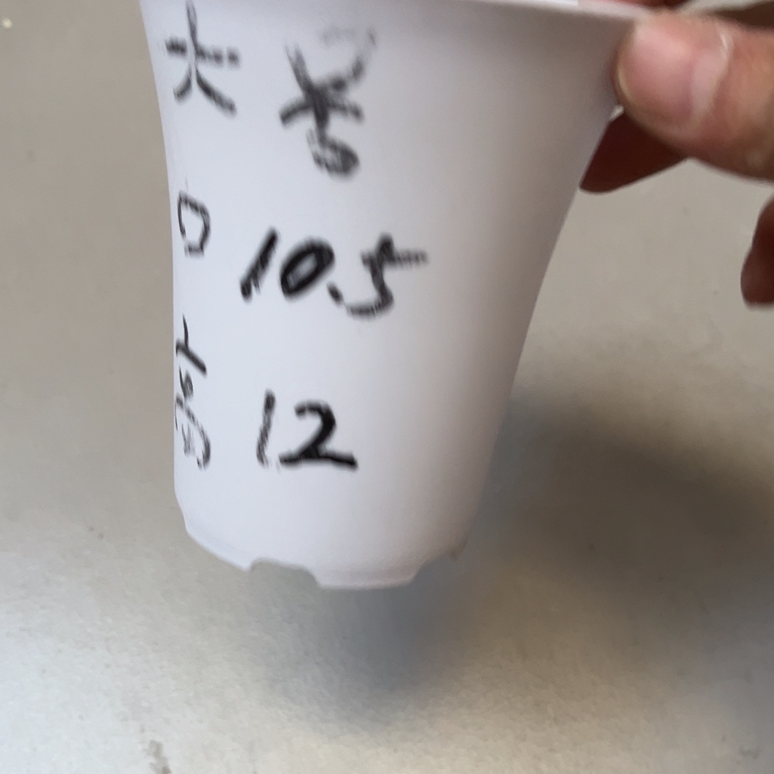 加厚圆万象口10高12白盆15个无托