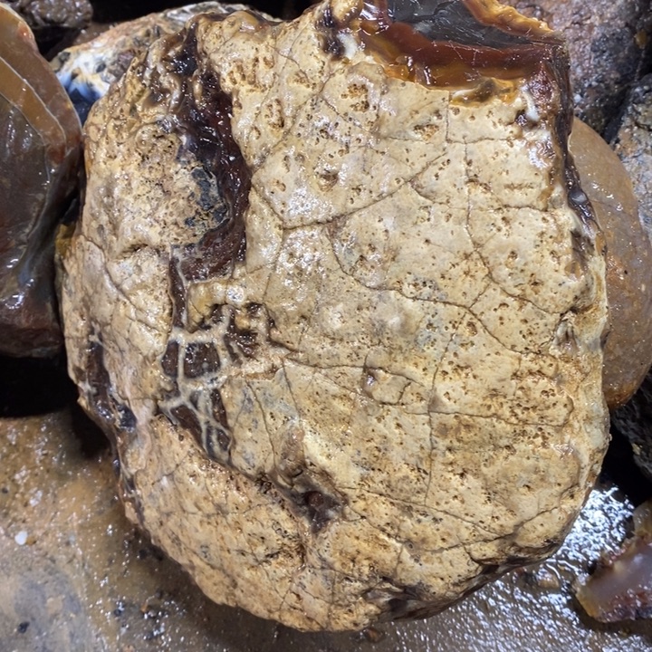 哈***雷定制玛瑙玛瑙手镯私人订制不退换