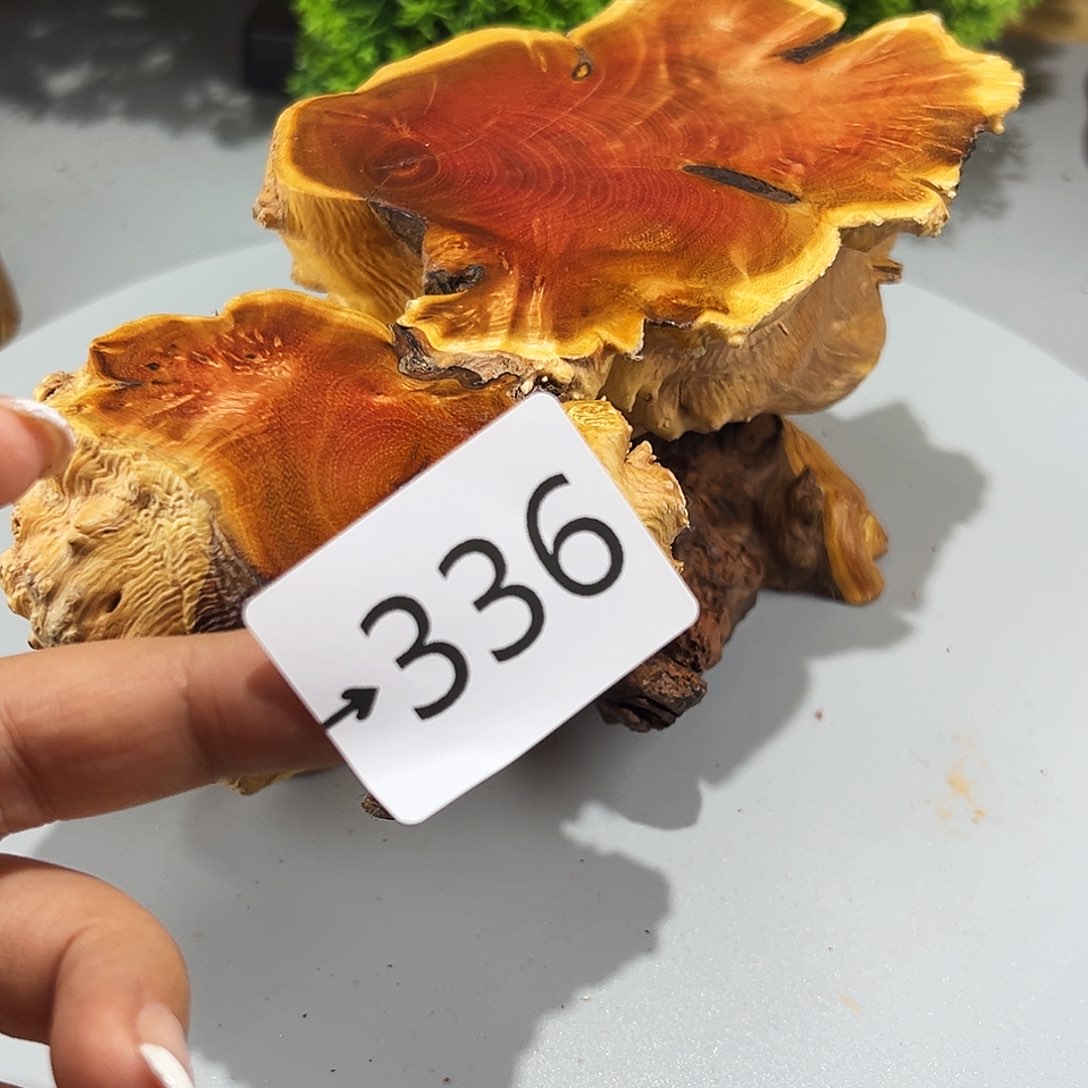 香榧木風**唐火琉璃，