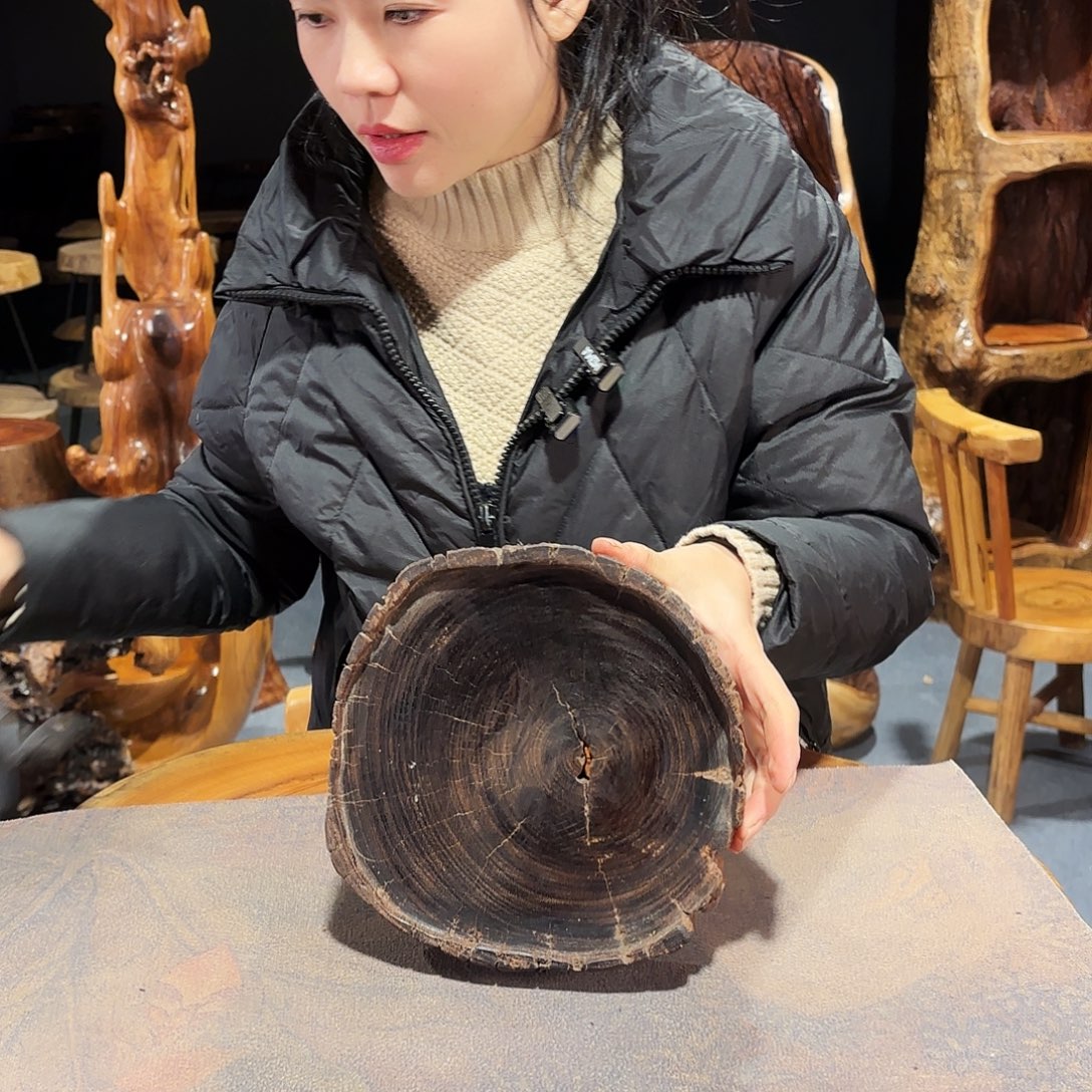 铁梨乌木干泡盘19-20-4