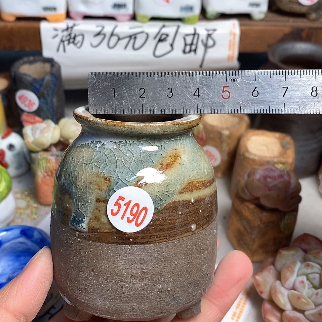 红陶拍5送一个小