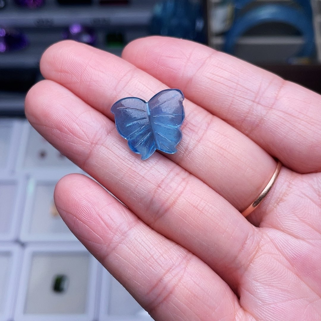 d****n海蓝蝴蝶圣玛利亚色