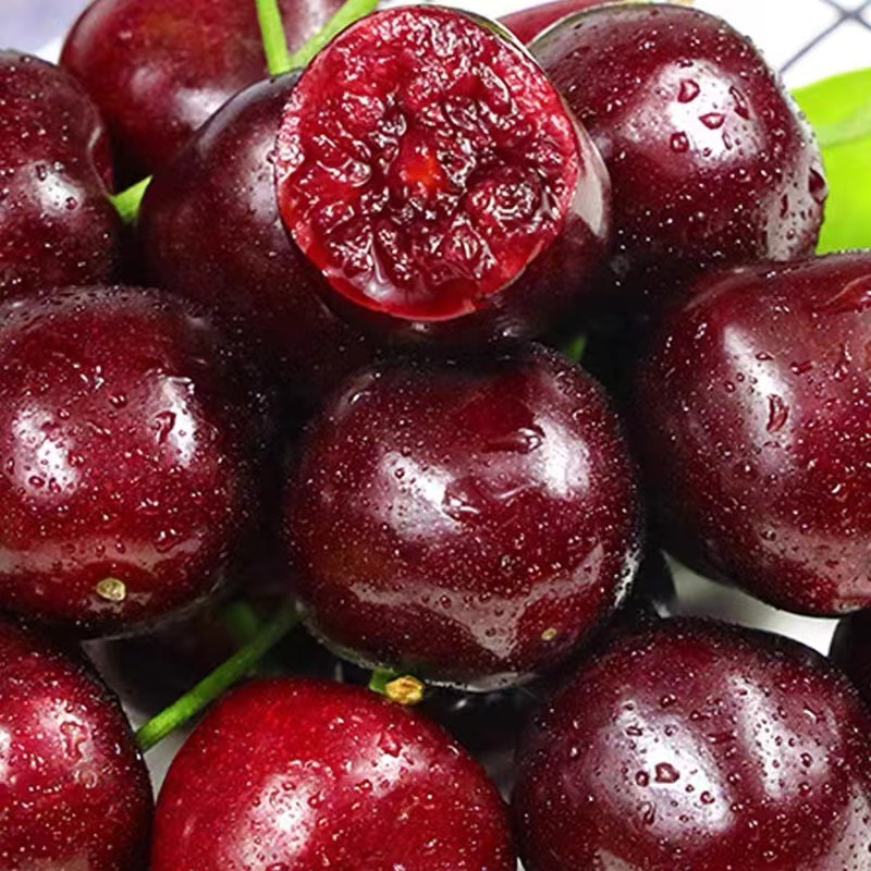 智利桑提娜海运樱桃4JD原箱5斤桑提娜智利