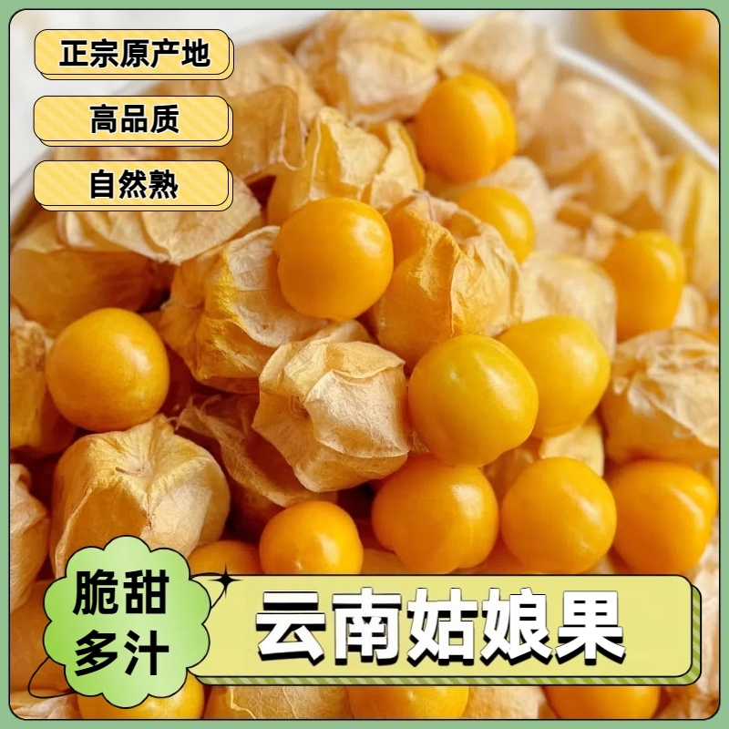 【坏果包赔】云南版纳新鲜姑娘果灯笼果香甜多汁产地直发孕妇水果JD