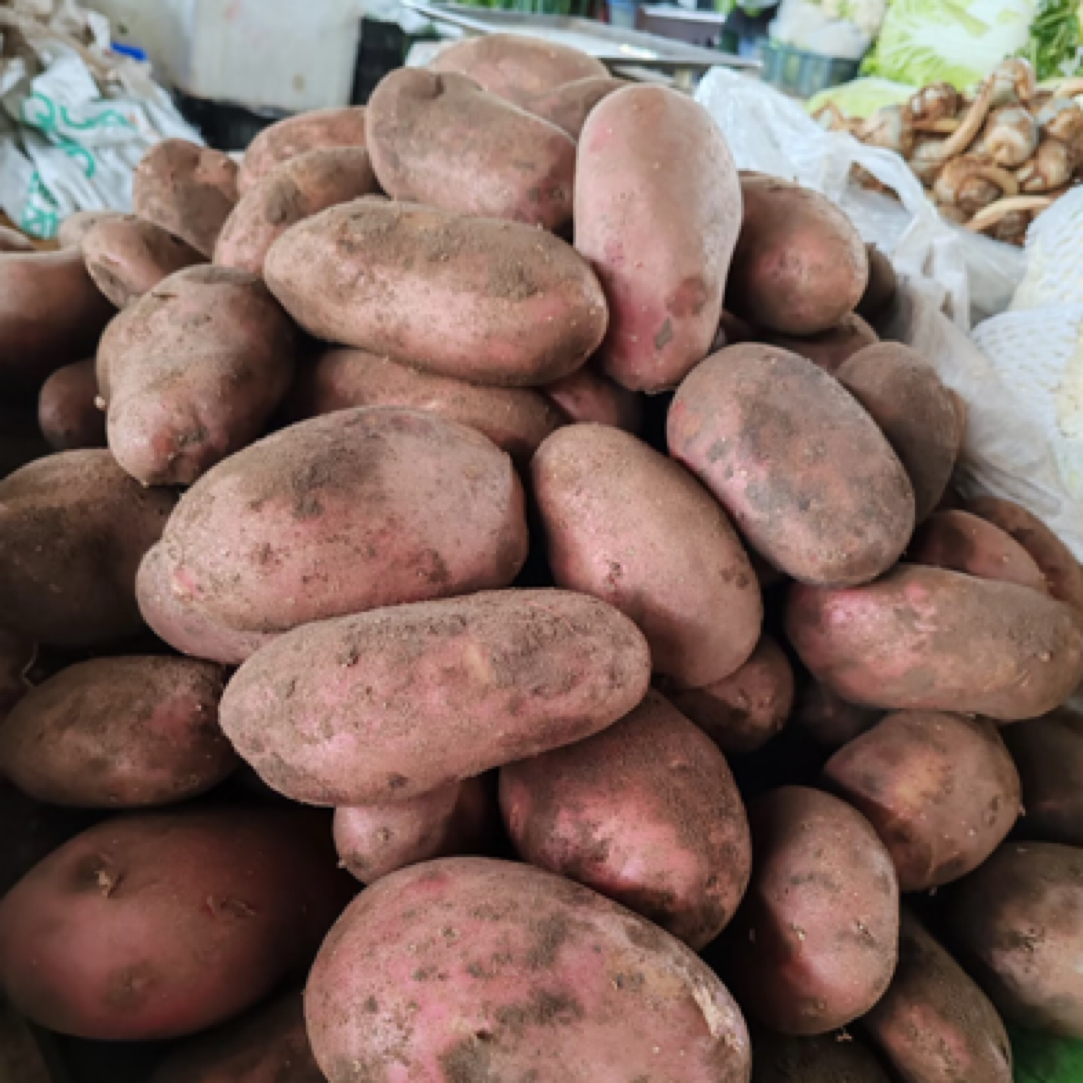 云南边境大集现收红皮黄心土豆
